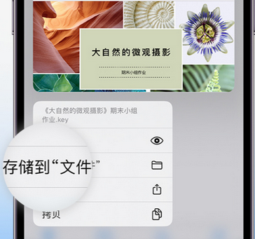 漠河apple维修中心分享iPhone文件应用中存储和找到下载文件