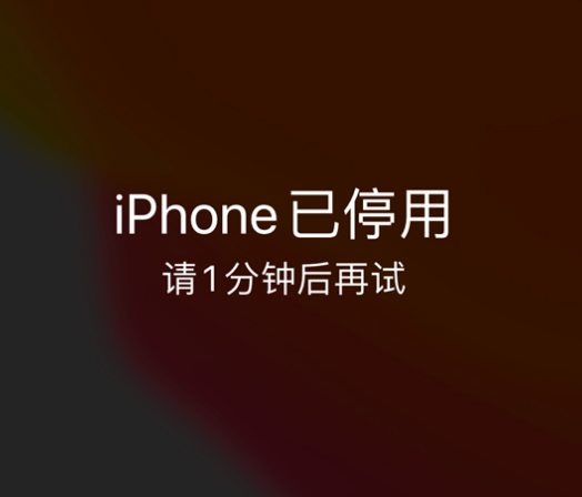 漠河苹果手机维修分享:iPhone 显示“不可用”或“已停用”怎么办？还能保留数据吗？ 