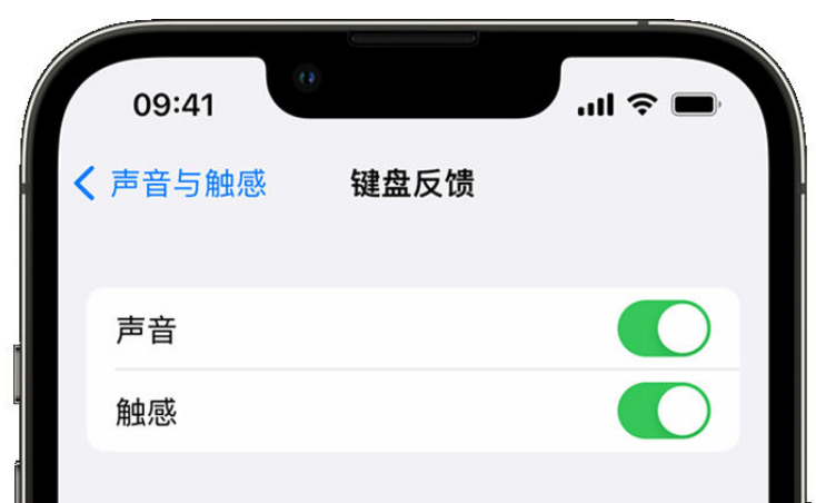 漠河苹果手机维修分享iPhone 14触感键盘使用方法 