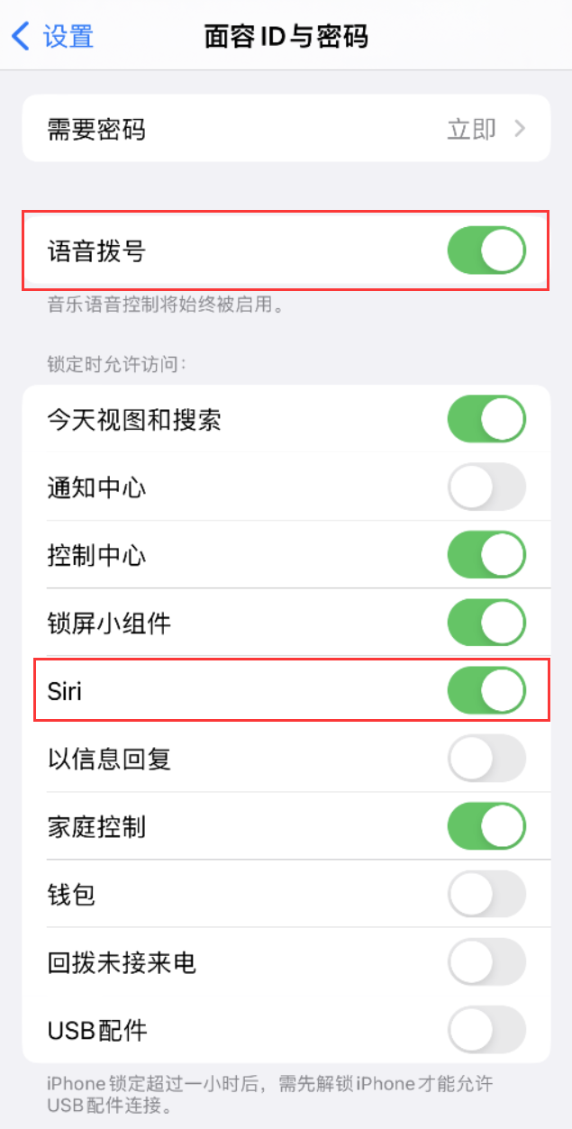 漠河苹果维修网点分享不解锁 iPhone 的情况下通过 Siri 拨打电话的方法 