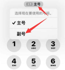 漠河苹果14维修店分享iPhone 14 Pro Max使用副卡打电话的方法 