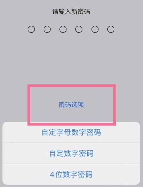 漠河苹果14维修分享iPhone 14plus设置密码的方法 