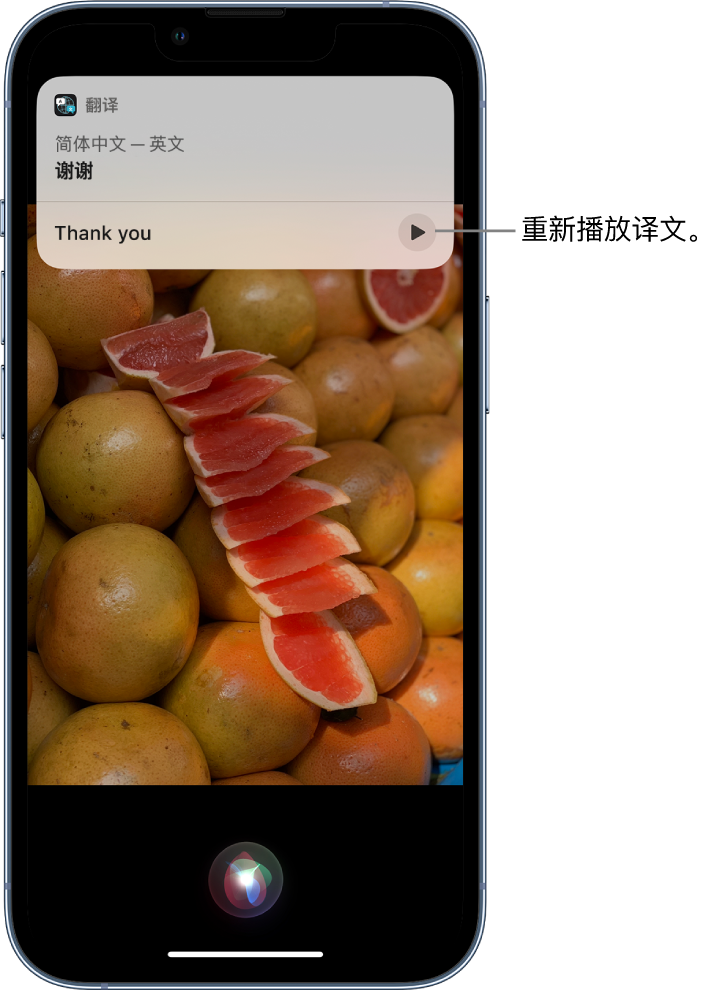 漠河苹果14维修分享 iPhone 14 机型中使用 Siri：了解 Siri 能帮你做什么 