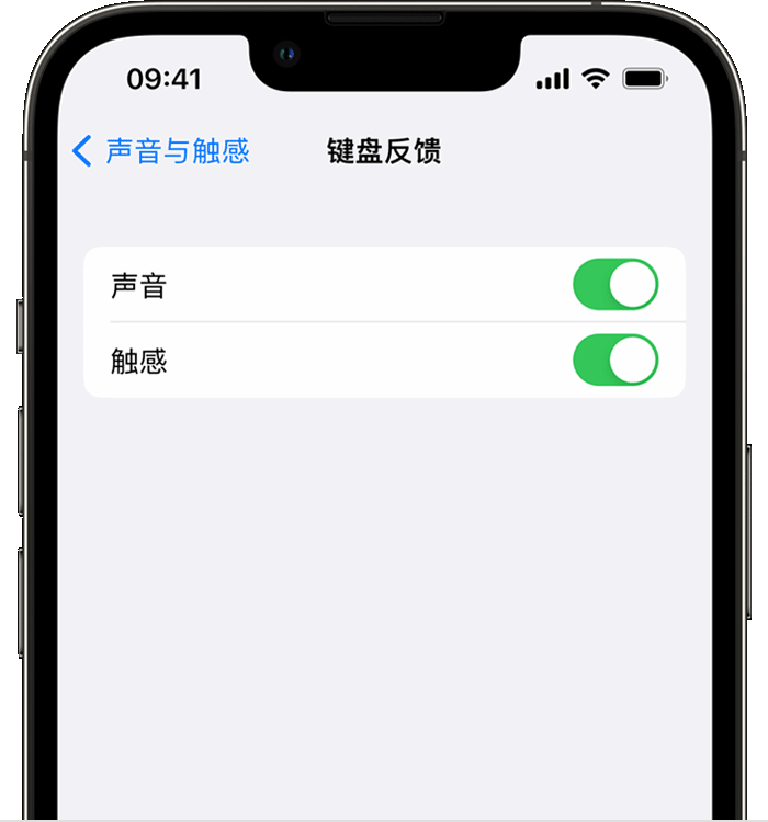 漠河苹果14维修分享iPhone 14 系列机型如何开启键盘声音或触感反馈 