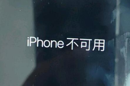 漠河苹果服务网点分享锁屏界面显示“iPhone 不可用”如何解决 