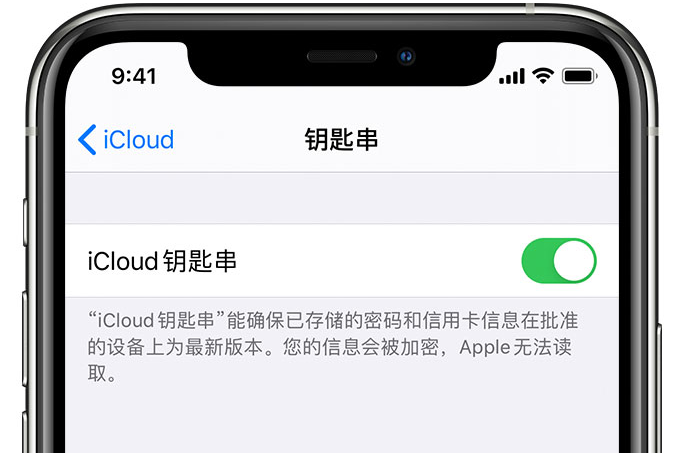 漠河苹果手机维修分享在 iPhone 上开启 iCloud 钥匙串之后会储存哪些信息 