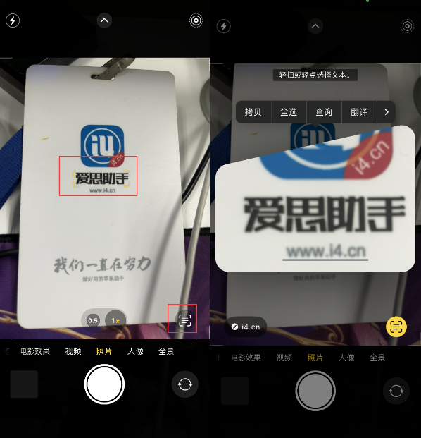 漠河苹果手机维修分享升级iOS 16后如何通过相机翻译文本 