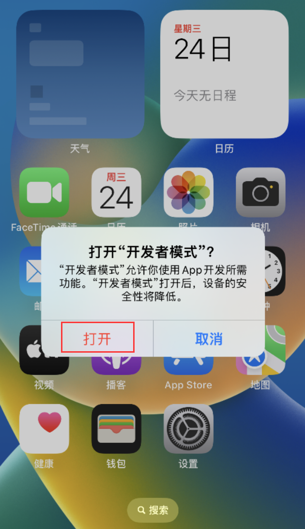 漠河苹果手机维修分享如何打开开发者模式 