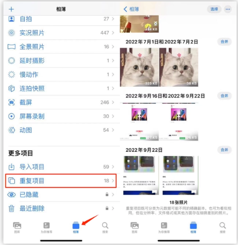 漠河苹果手机维修分享iOS 16 中相册重复项目功能使用方法 