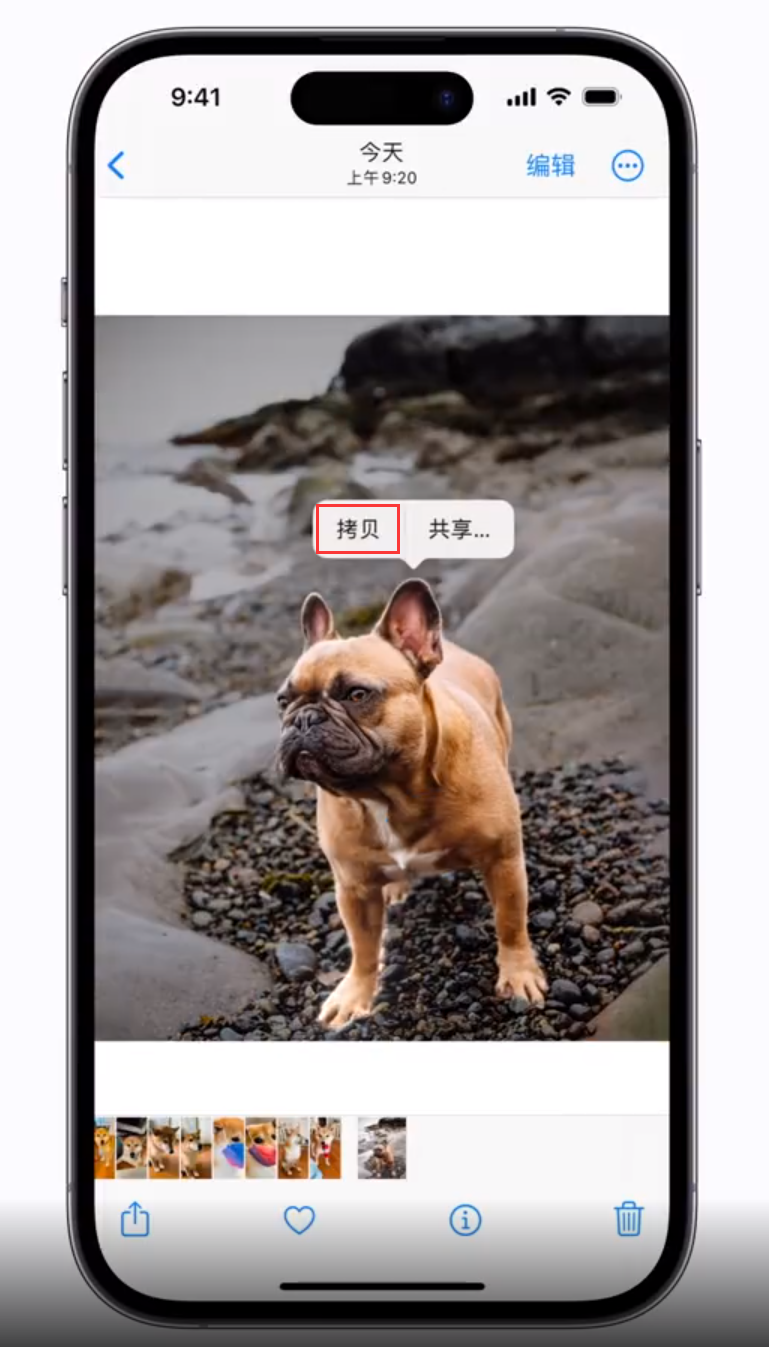 漠河苹果手机维修分享 iOS 16 自带一键抠图功能 