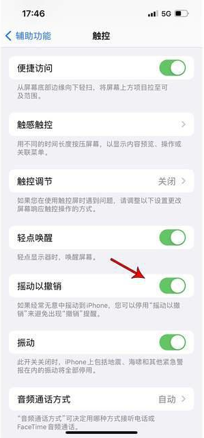 漠河苹果手机维修分享iPhone手机如何设置摇一摇删除文字 