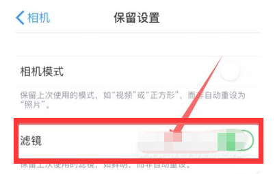 漠河苹果13维修分享iPhone13拍照有绿点是怎么回事 