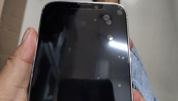 漠河苹果手机维修分享iPhone 13‌机模长什么样 
